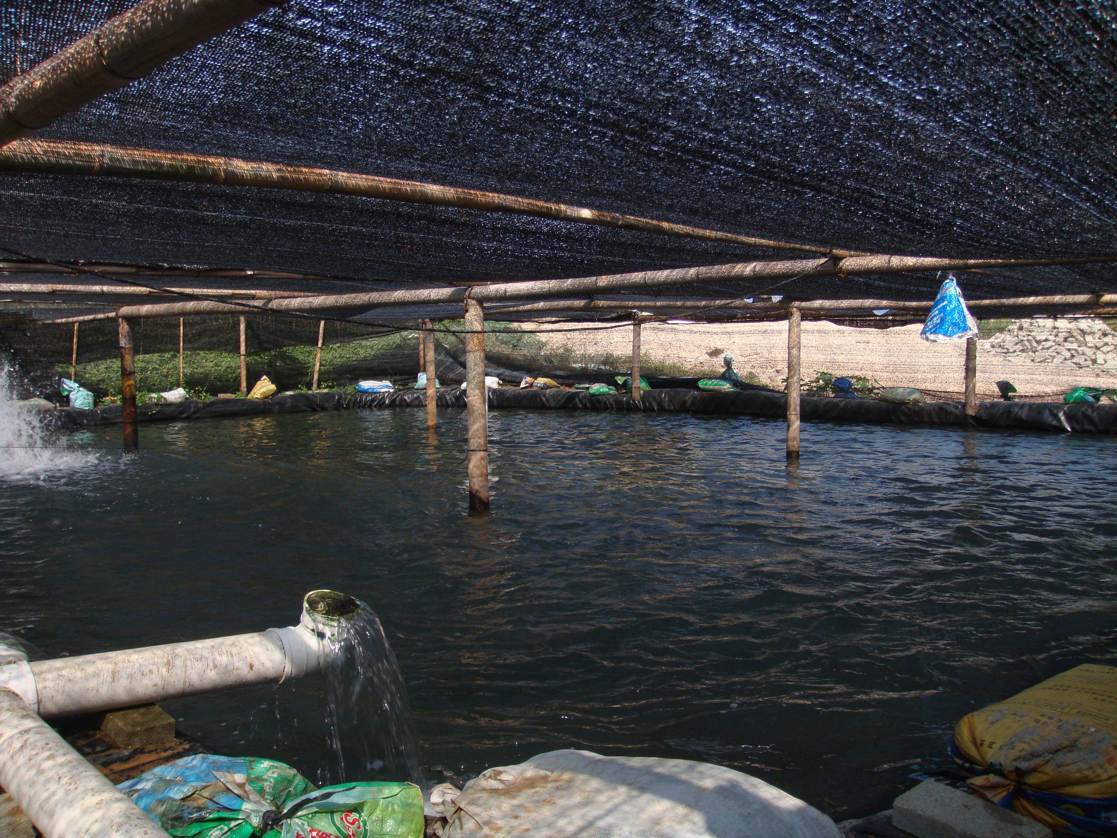 泰安宏源0.35国标水产养殖膜 防渗膜，莲藕水产养殖膜