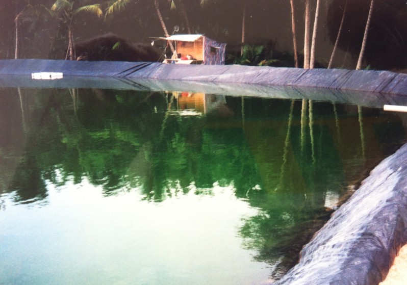 山东*水产养殖膜、淡水养殖膜，膜厚0.35mm价格/平米