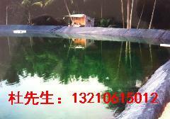 山东*好美标防渗膜养殖膜报价/美标山东防渗膜3元起价/0.5养殖膜